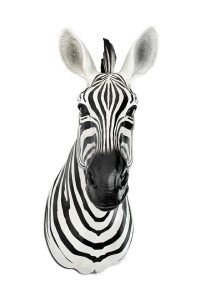 54761_zebra_d%C5%9B_0.jpg