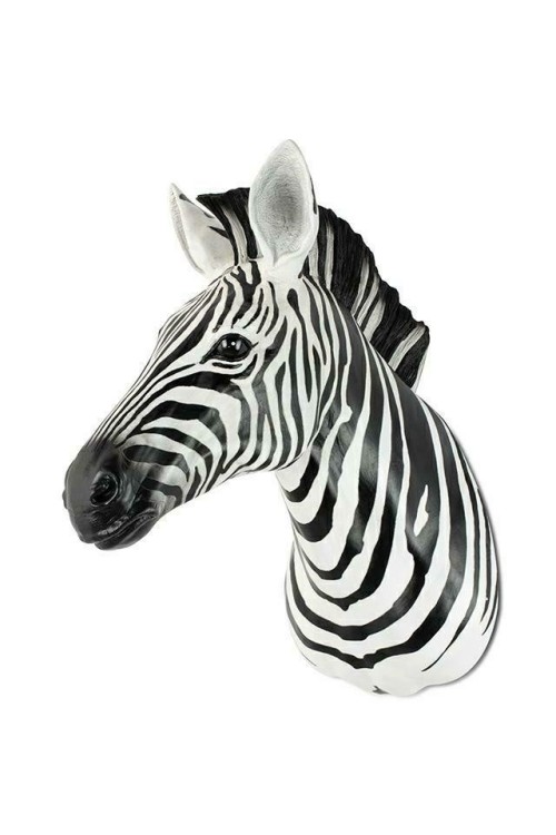 54761_zebra_d%C5%9B_1.jpg