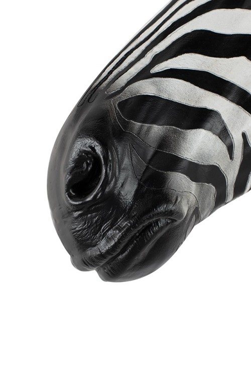 54761_zebra_d%C5%9B_2.jpg