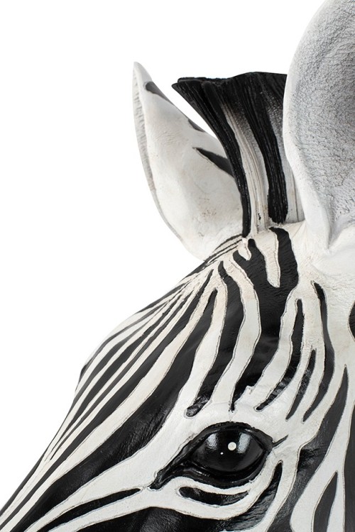 54761_zebra_d%C5%9B_3.jpg