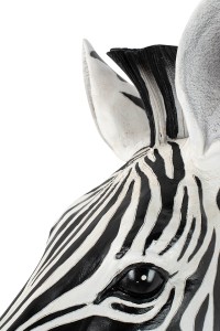 54761_zebra_d%C5%9B_3.jpg