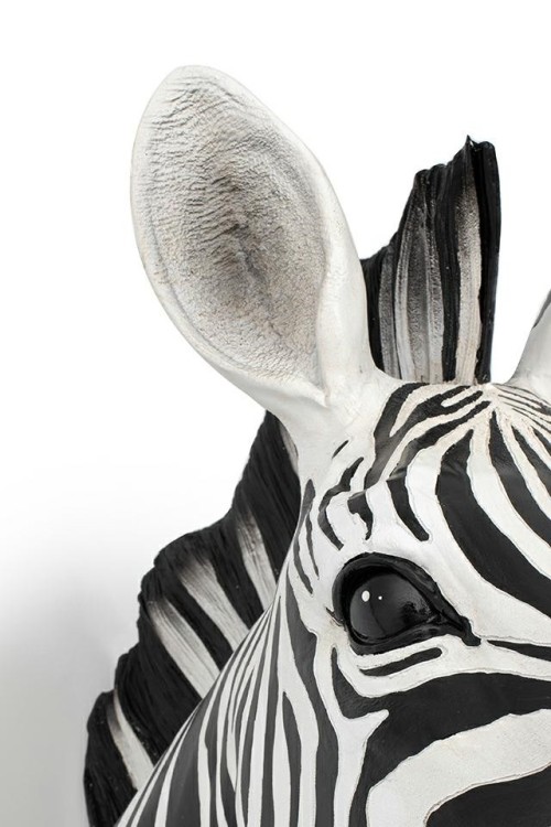 54761_zebra_d%C5%9B_5.jpg