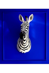 54761_zebra_d%C5%9B_6.jpg