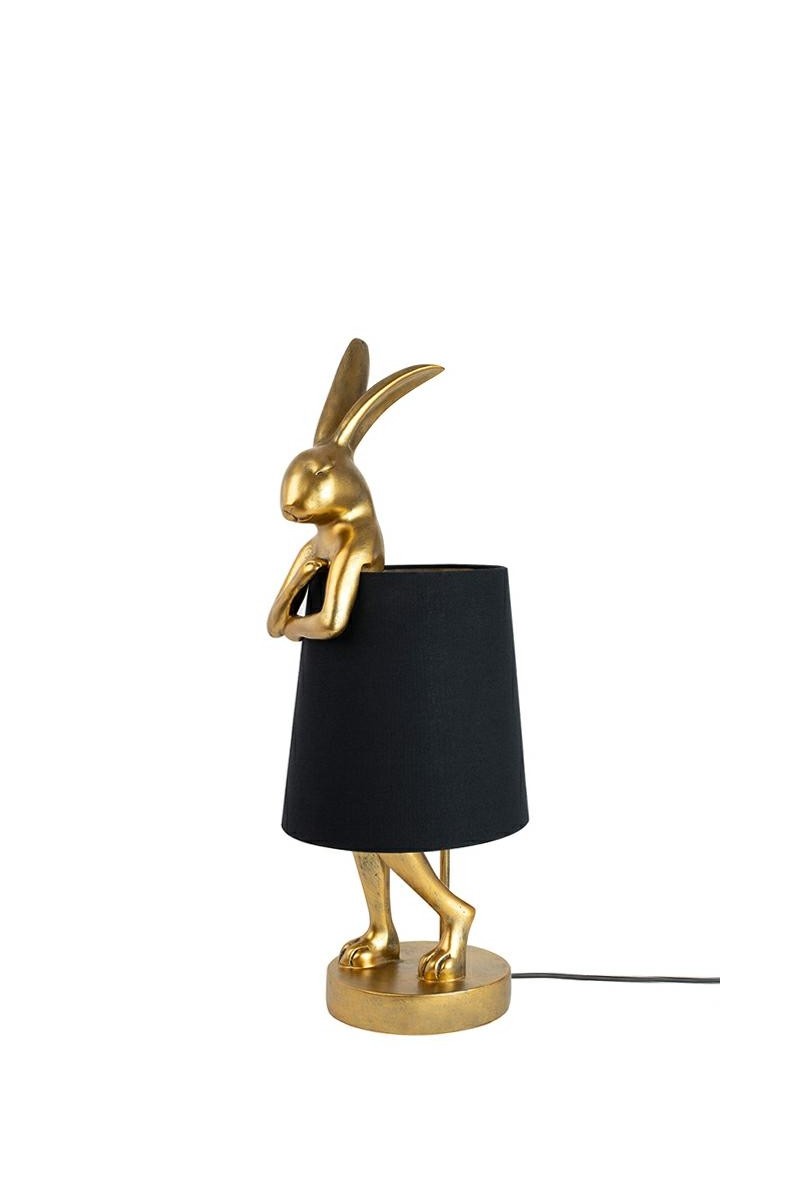 55796_rabbit_bg_50_1.jpg