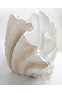 55689_concha_75_3.jpg