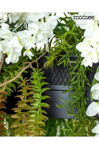 MSE1501100438.WIST_gardens_w_3.jpg