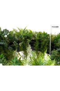 MSE1501100438.WIST_gardens_w_4.jpg