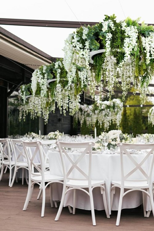 MSE1501100438.WIST_gardens_anarzacja_wisteria.jpg