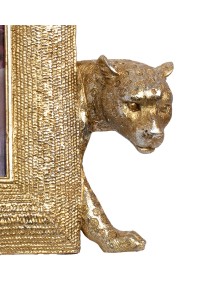 53568_leopard_3.jpg