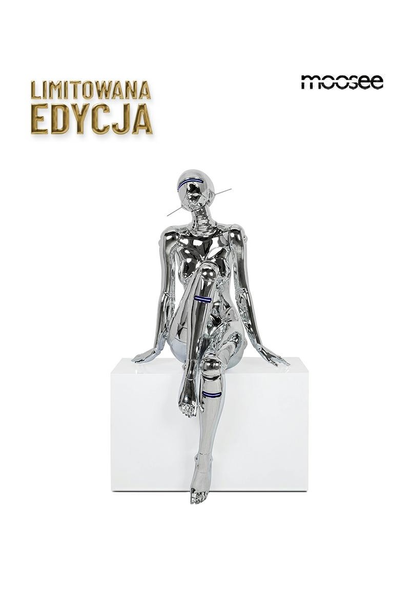 MSE1501100512_cyber_woman00.jpg