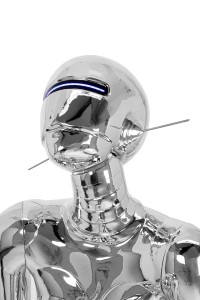 MSE1501100512_cyber_woman3_4.jpg