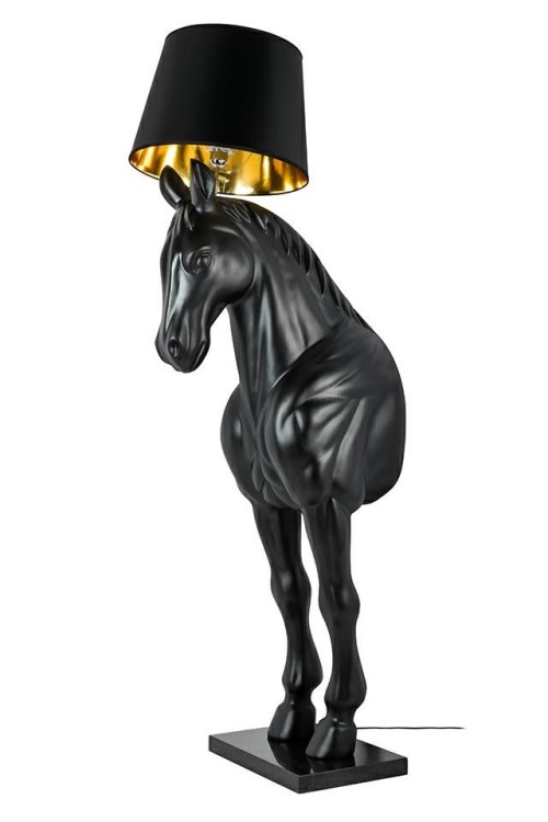 MSE1501100386_kon_horse_stand_m_cz%20%285%29.jpg