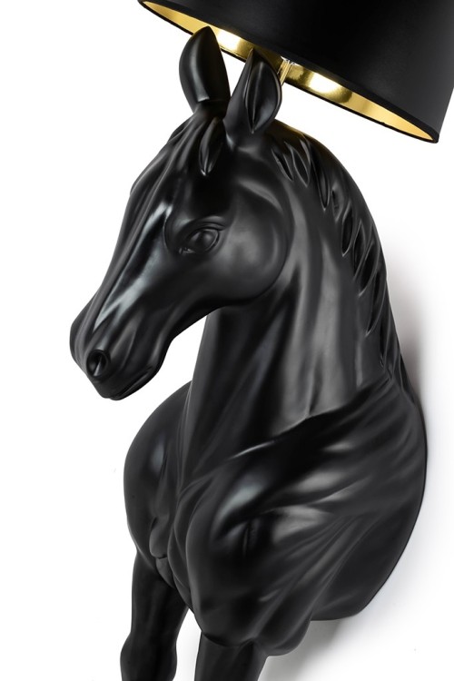 MSE1501100386_konhorsestandm_7.jpg