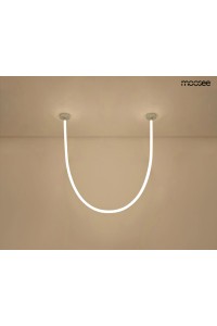 MSE15011004411_lasso300_2chrom.jpg