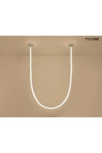 MSE15011004431_lasso500_2chrom.jpg