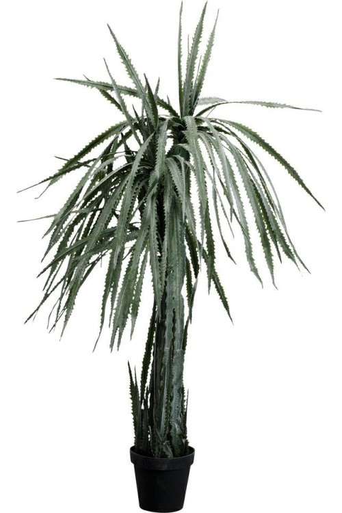 55916_1.jpg