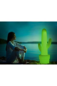 LUMKL100OFNW_kaktus_lime_led2.jpg