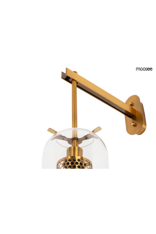 MSE010400211_lampion_logo_6.jpg