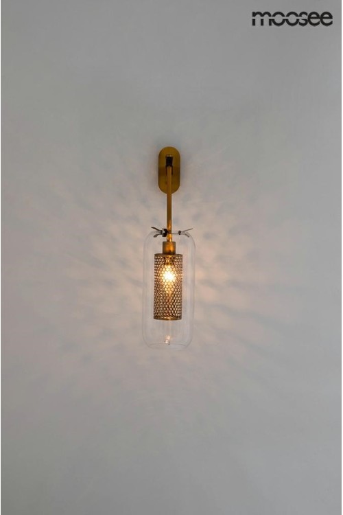 MSE010400211_lampion_logo_9.jpg