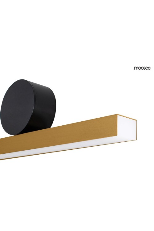 MSE010100290_wand45_moosee_2.jpg