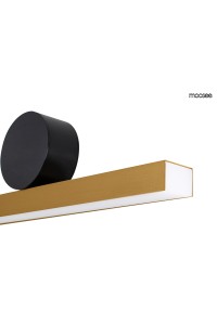MSE010100290_wand45_moosee_2.jpg