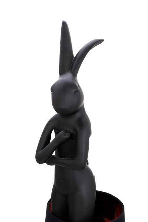 53473_rabbit_czcz_1.jpg