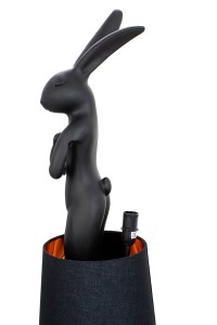 53473_rabbit_czcz_3.jpg