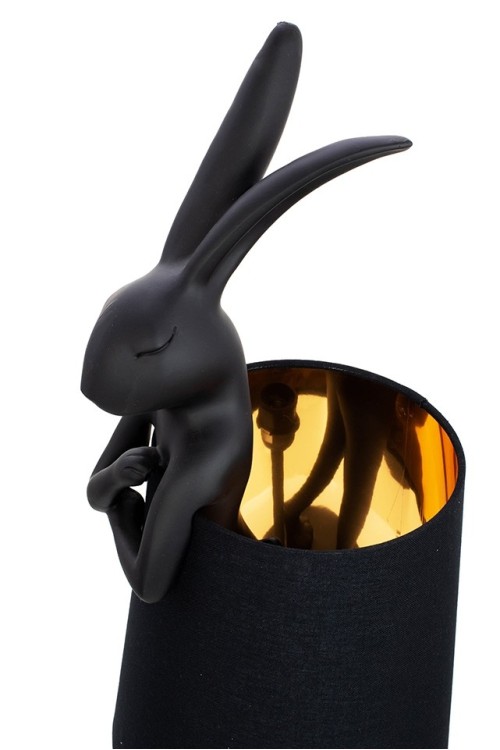 53473_rabbit_czcz_4.jpg
