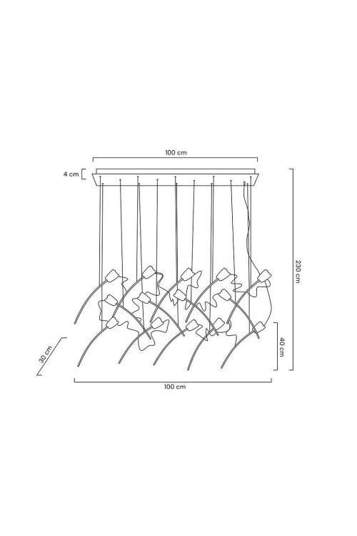 MSE1501100169_tulippe14line.jpg