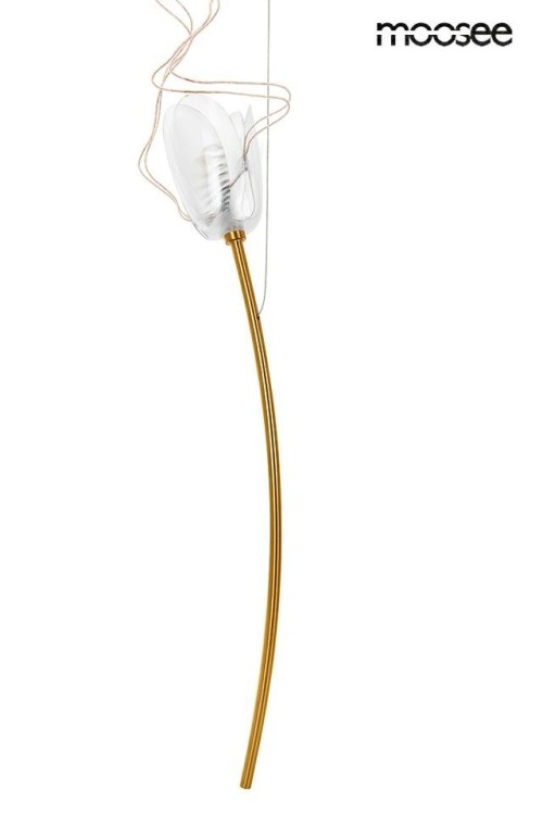 MSE1501100170_tulip_gd_7_4.jpg