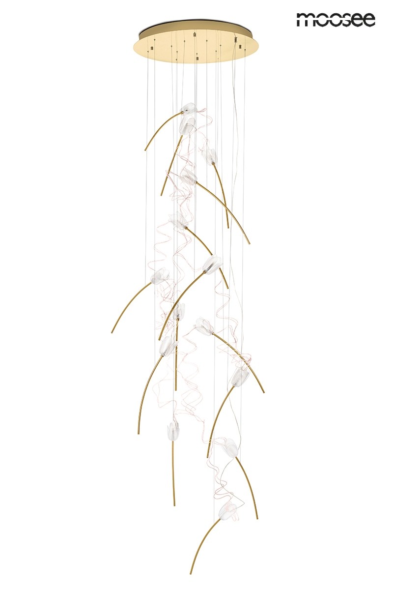 MSE1501100171_tulip_gd_14_disc_1.jpg