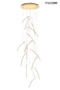MSE1501100171_tulip_gd_14_disc_1.jpg