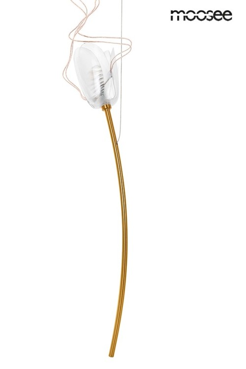 MSE1501100171_tulip_gd_7_4.jpg