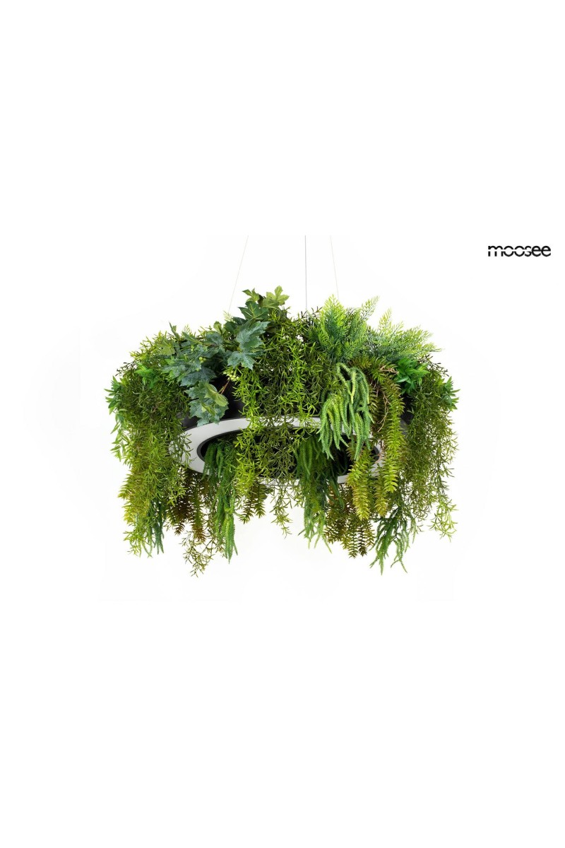 MSE1501100437_gardens_90_0.jpg