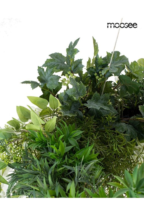 MSE1501100437_gardens_3.jpg