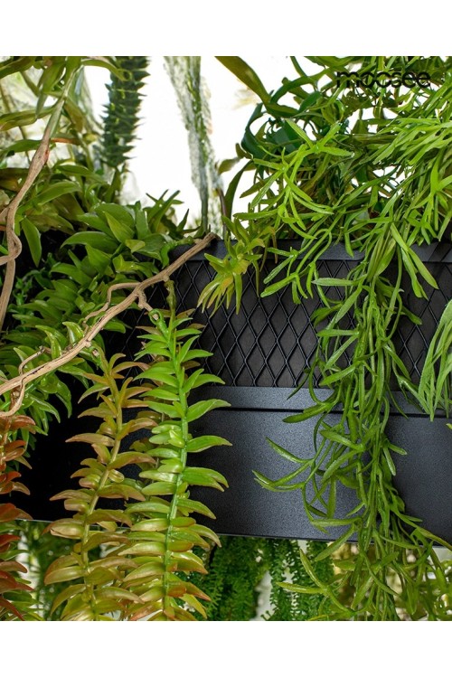 MSE1501100437_gardens_5.jpg