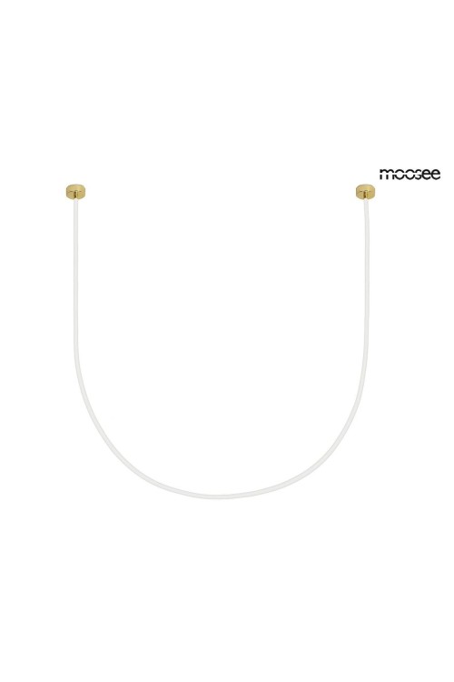 MSE1501100496_lasso1000_1.jpg