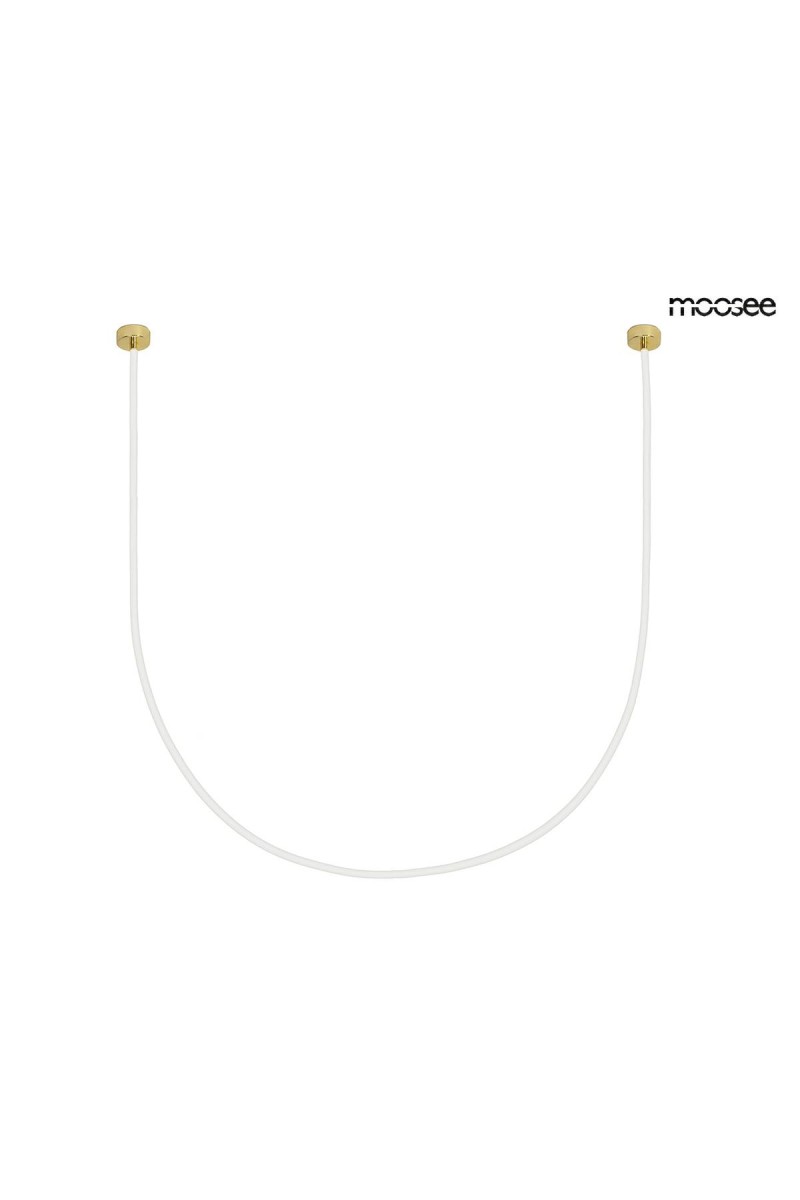MSE1501100496_lasso1000_1.jpg