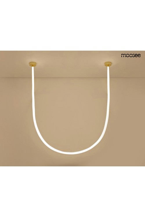 MSE1501100496_lasso800_2.jpg