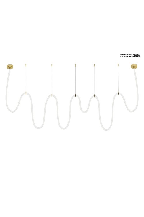 MSE1501100496_lasso1000_2.jpg
