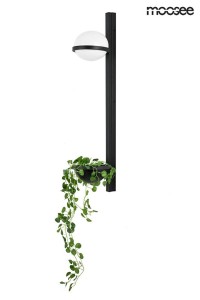 MSE010400222_plant_wall_logo_1.jpg