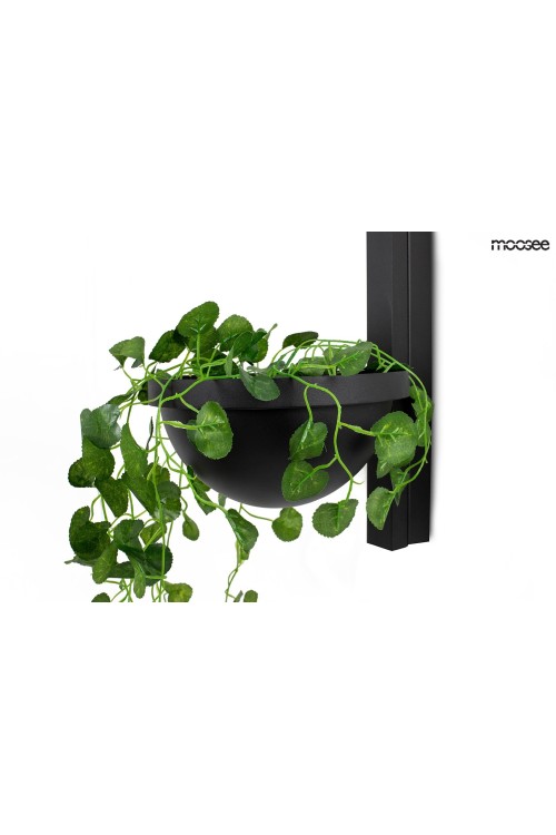 MSE010400222_plant_wall_logo_2.jpg
