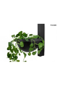 MSE010400222_plant_wall_logo_2.jpg