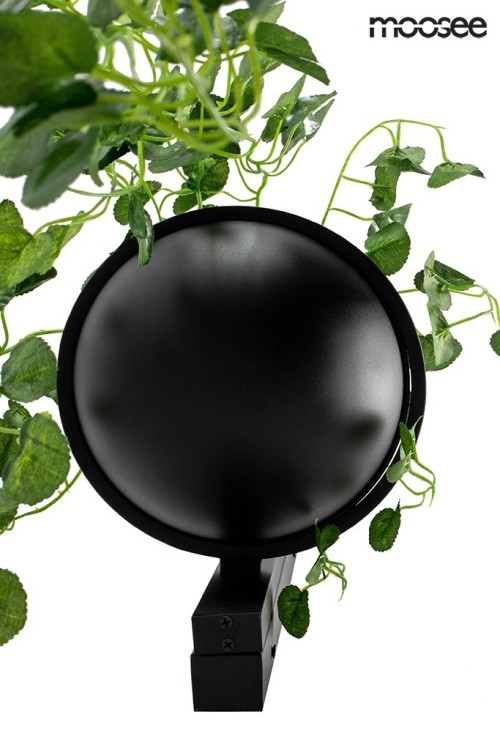 MSE010400222_plant_wall_logo_5.jpg