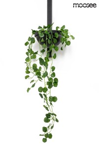 MSE010400222_plant_wall_logo_6.jpg