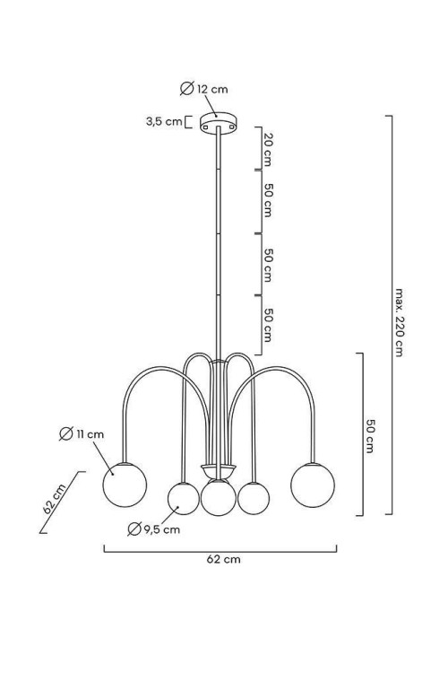 MSE010100318_neri.jpg